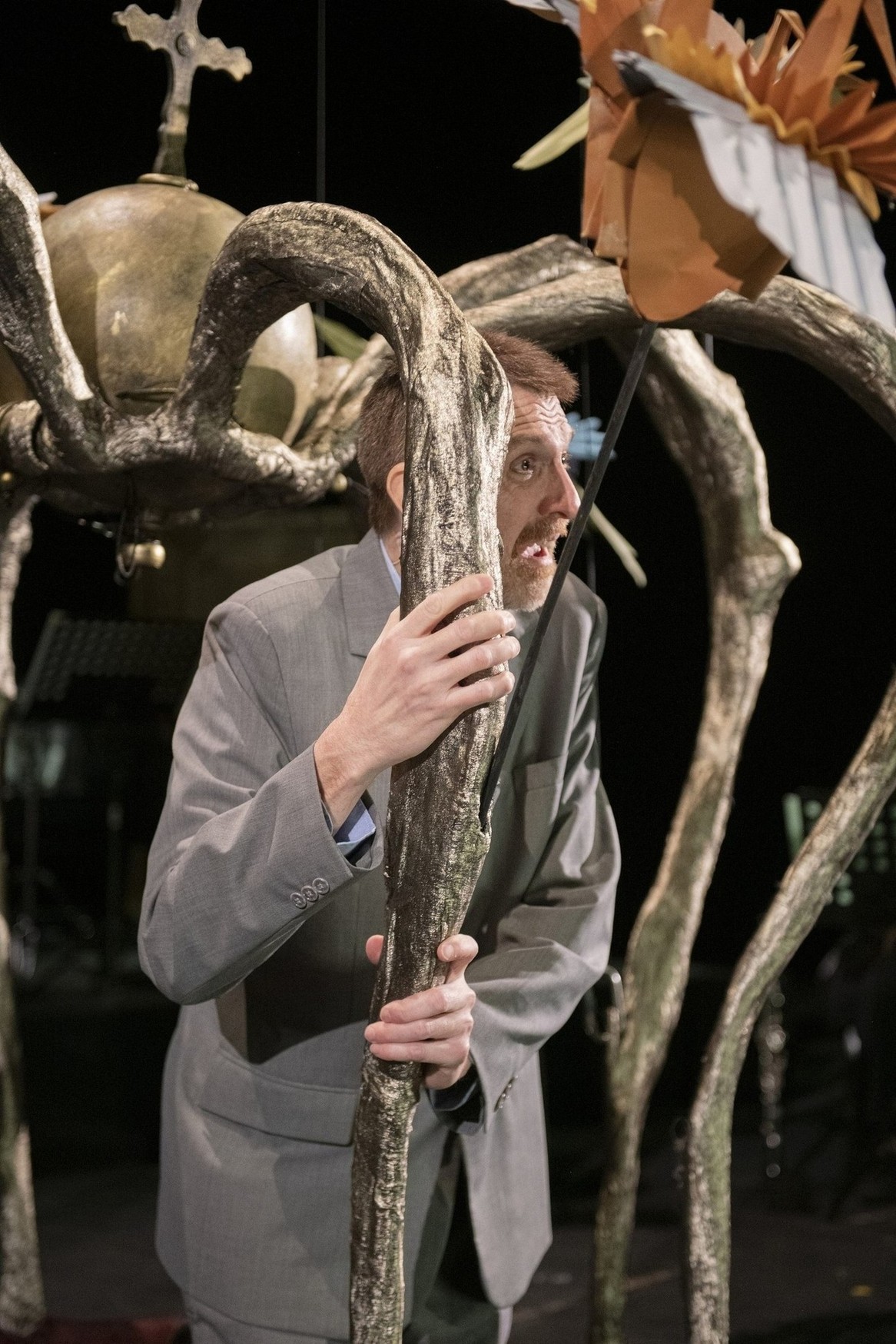 Birds Projet Chanteur Tenant Une Couronne Géante