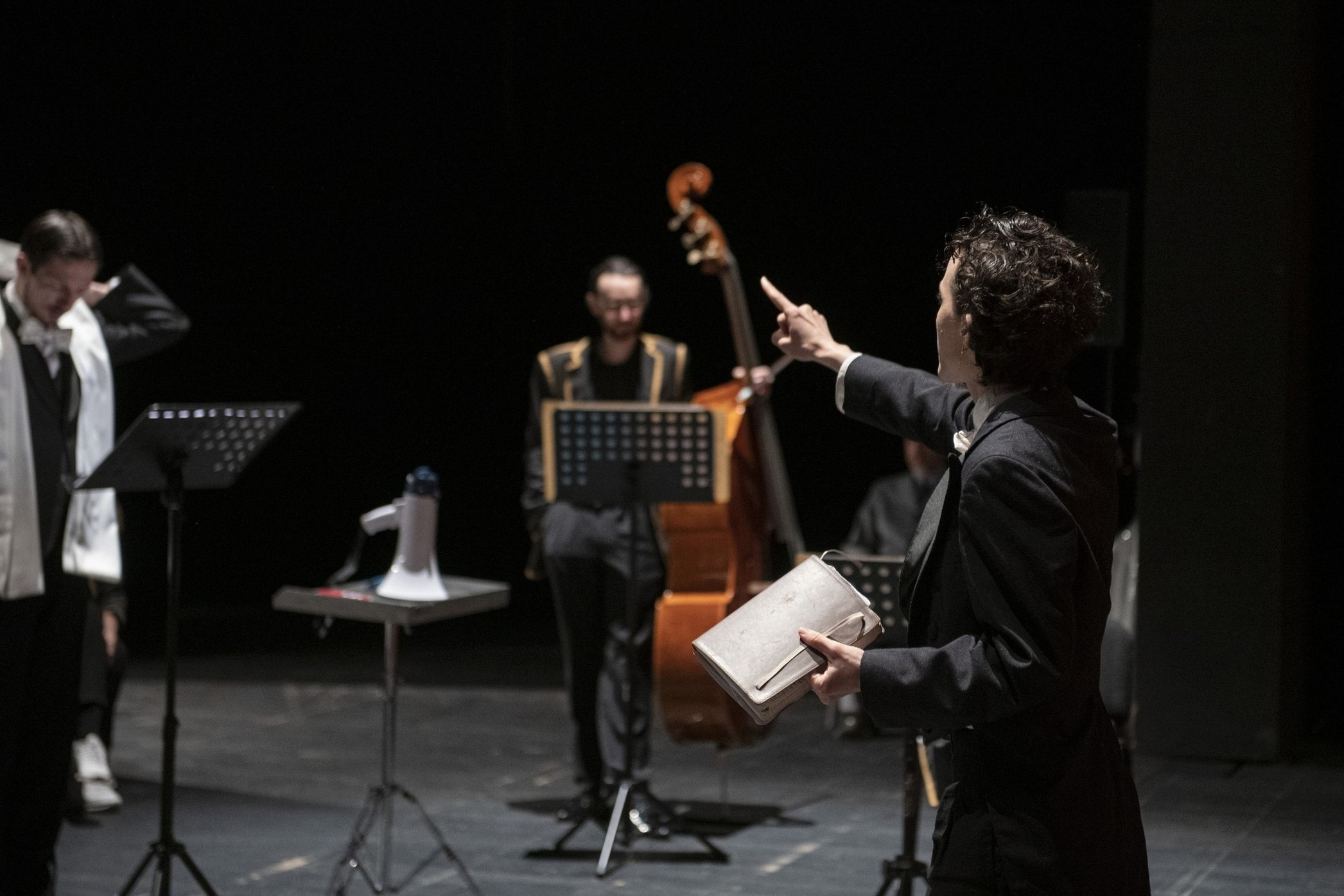 Birds Projet Musiciens Sur Scène