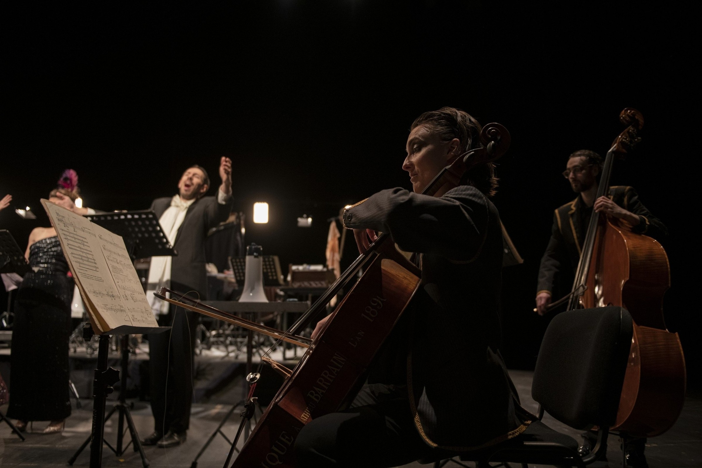 Birds Projet Musiciens Violoncelle Contrebasse Chanteur