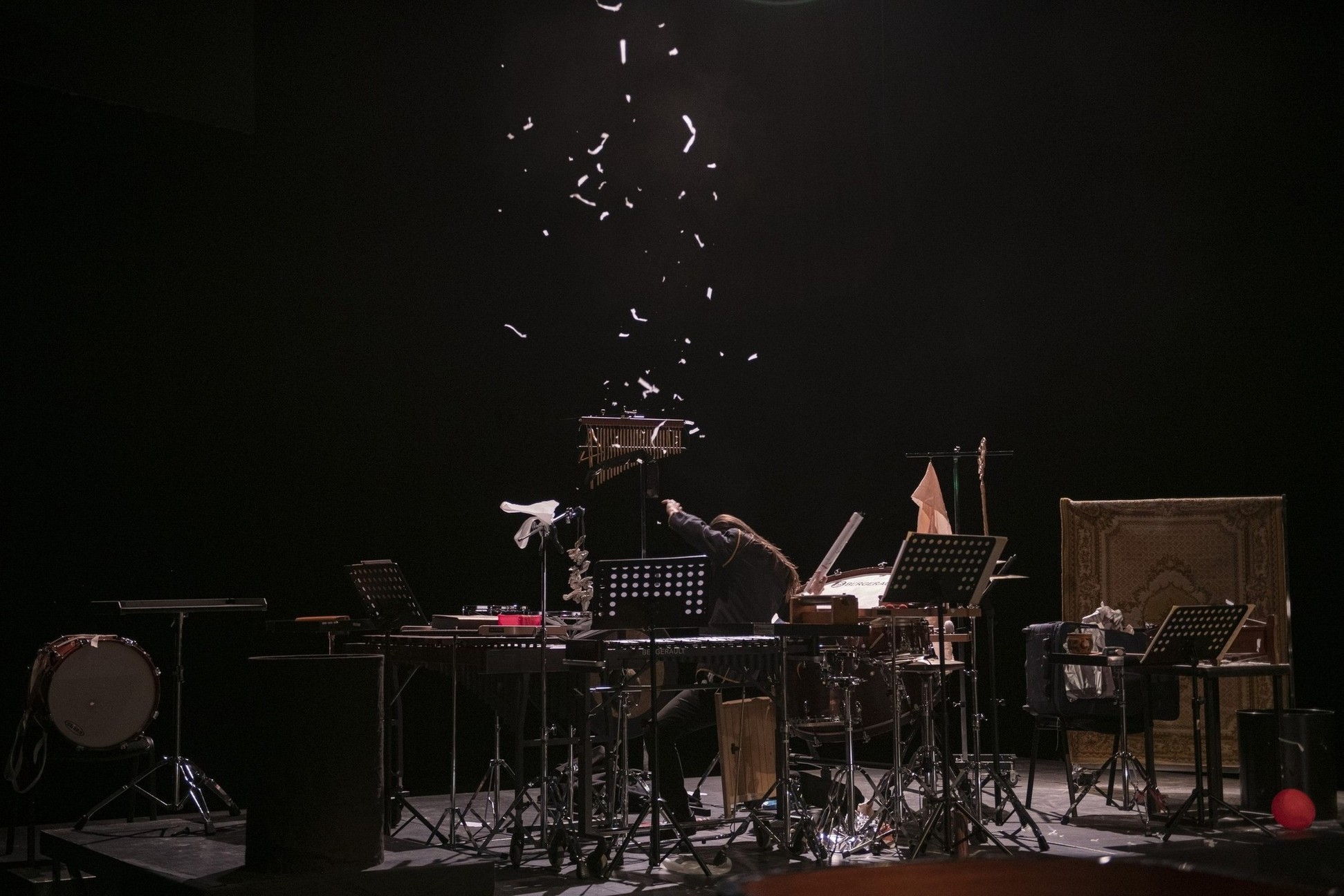 Birds Projet Percussionniste