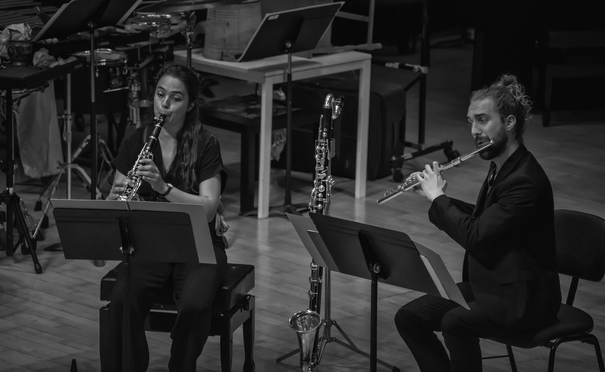 Projet Ligeti International Musiciens Flutiste Clarinetiste